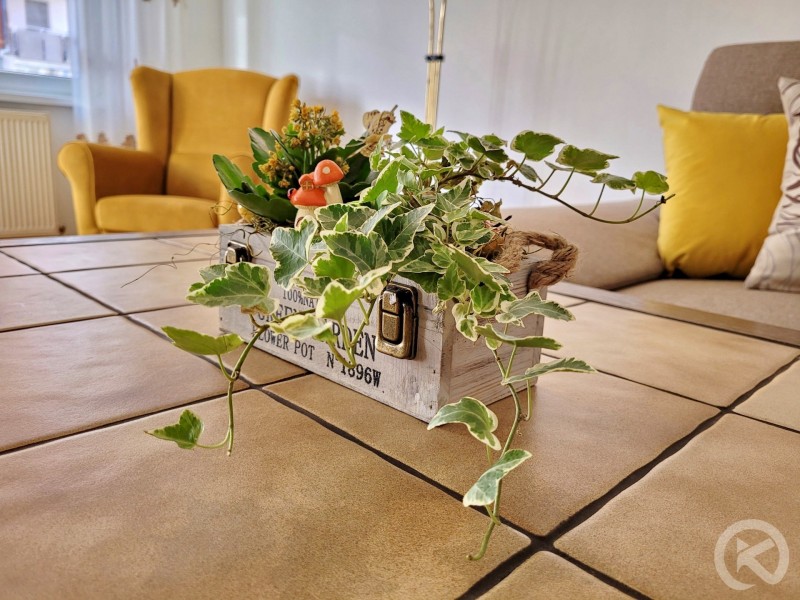 Apartament Flora Odorheiu Secuiesc 709657 thumb