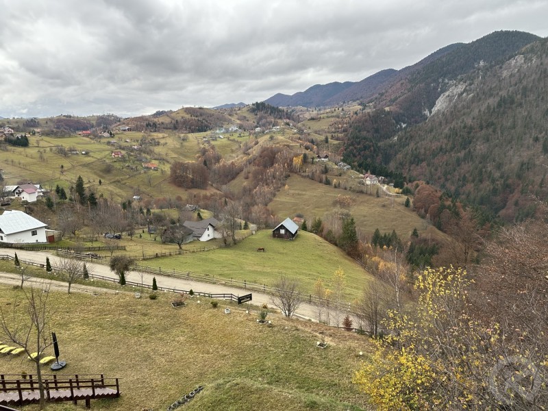 Pensiunea Magura Măgura 709128 thumb