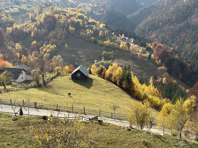 Pensiunea Magura Măgura 709124 thumb
