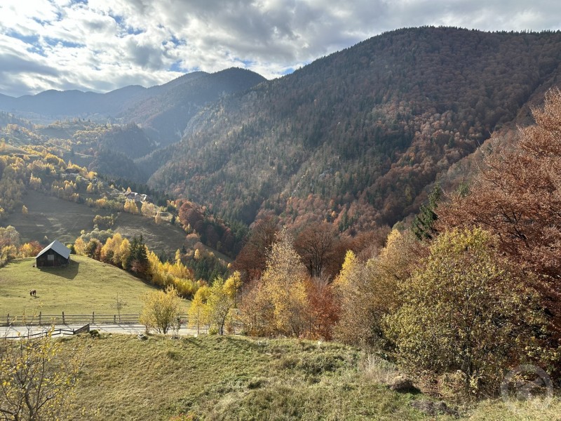 Pensiunea Magura Măgura 709102 thumb