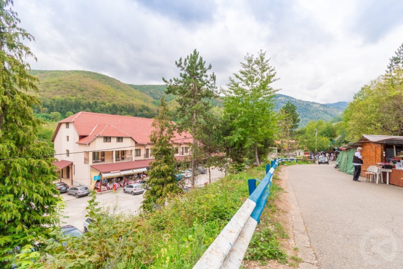 Pensiune Popasul Ursilor Chișcău 715750 thumb