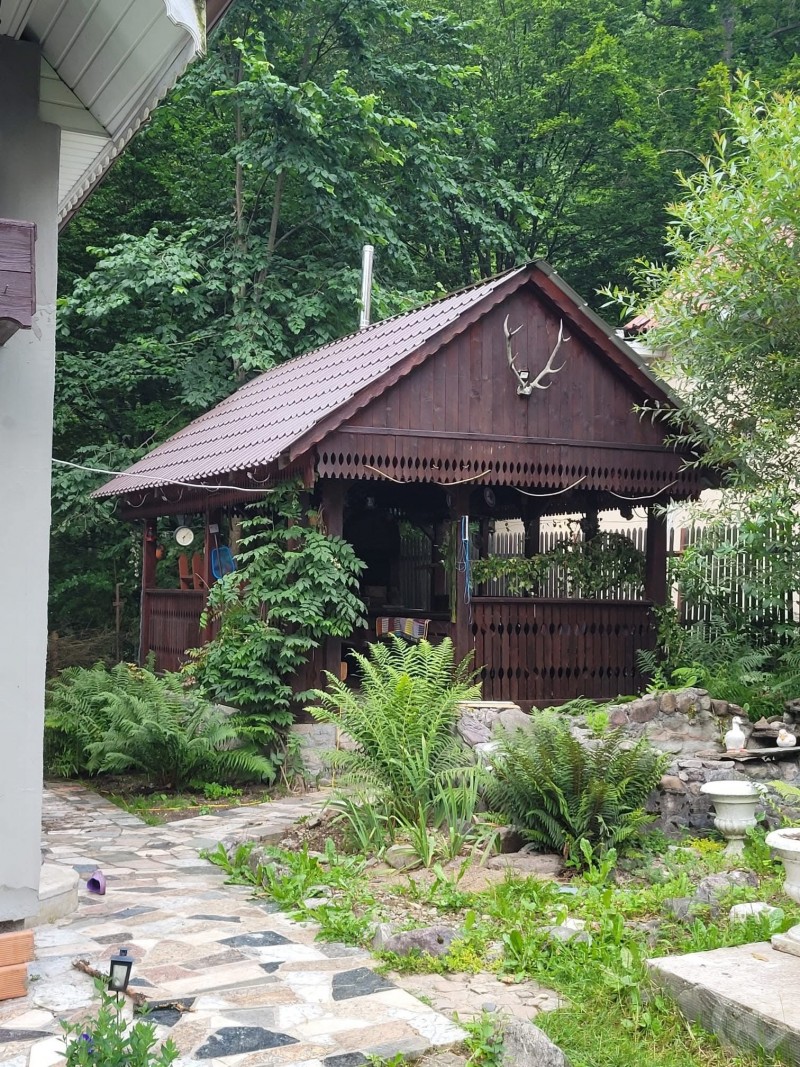 Cabana Valea Rea  Valea Boga 708641 thumb
