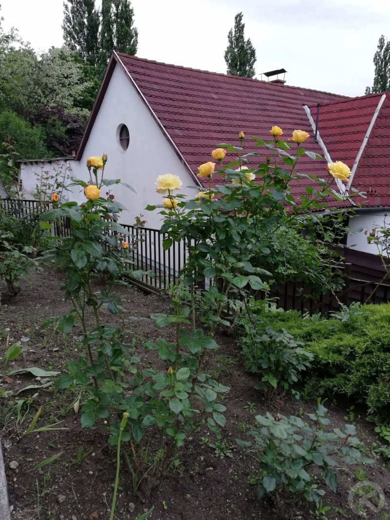 Barbara Apartman Mișcolț 715064 thumb