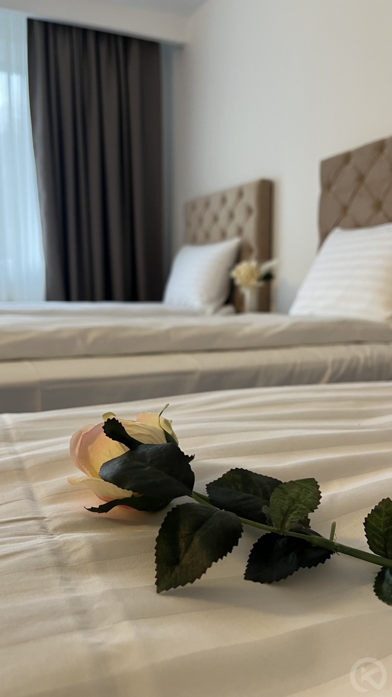 Hotel Europa Ocna Mureș 704618 thumb