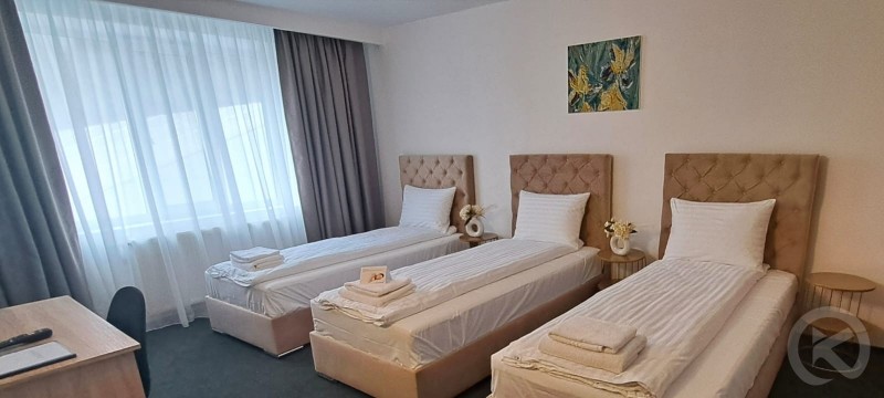 Hotel Europa Ocna Mureș 704711 thumb