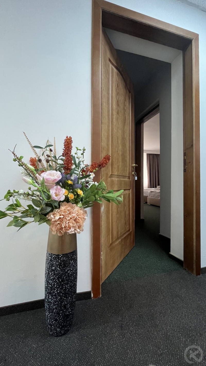 Hotel Europa Ocna Mureș 704664 thumb