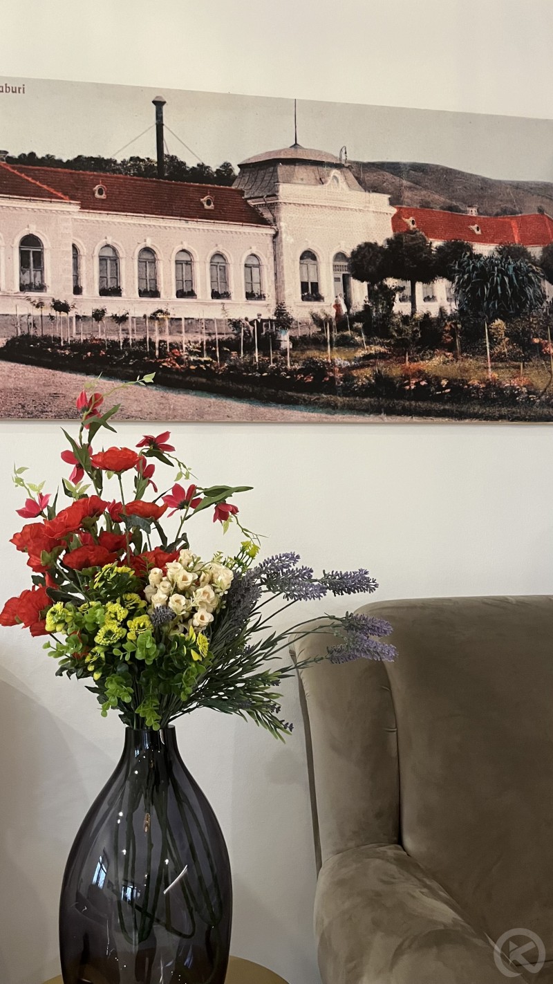 Hotel Europa Ocna Mureș 704749 thumb