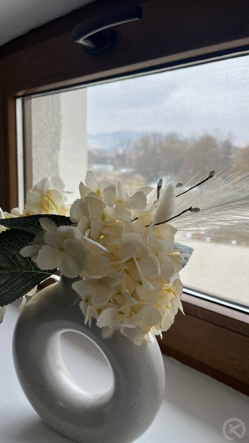 Hotel Europa Ocna Mureș 704730 thumb