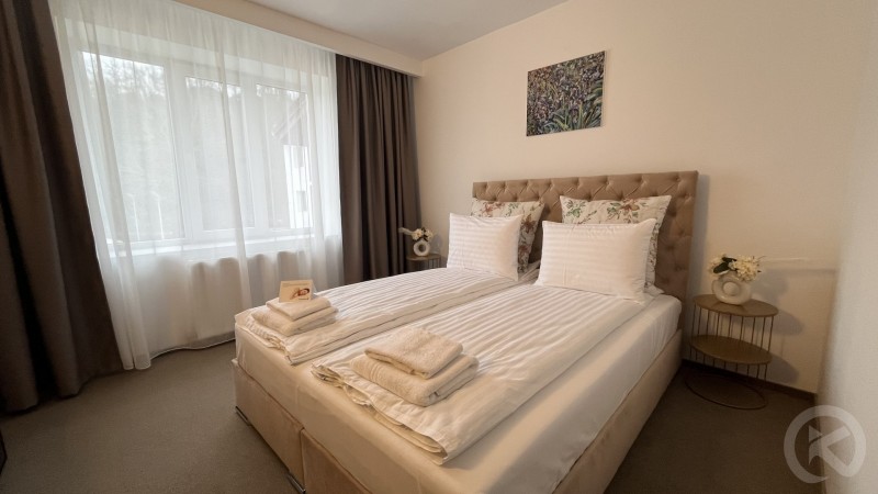 Hotel Europa Ocna Mureș 704529 thumb