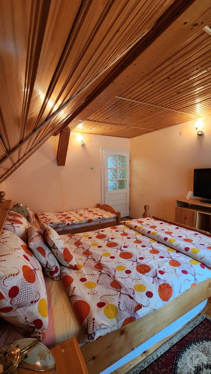 Casa de vacanta Julius  Valea Boga 706510 thumb