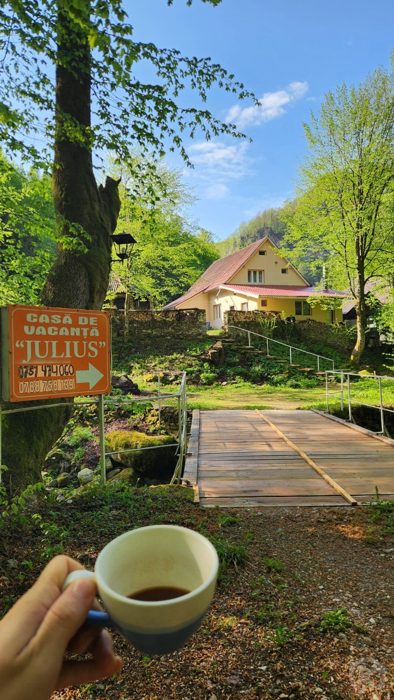 Casa de vacanta Julius  Valea Boga 706556 thumb