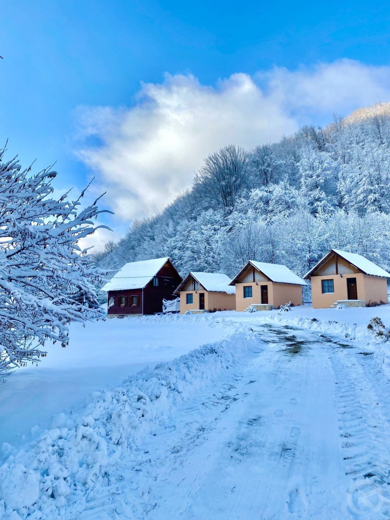 Cabana Mădălin Pietroasa 683854 thumb
