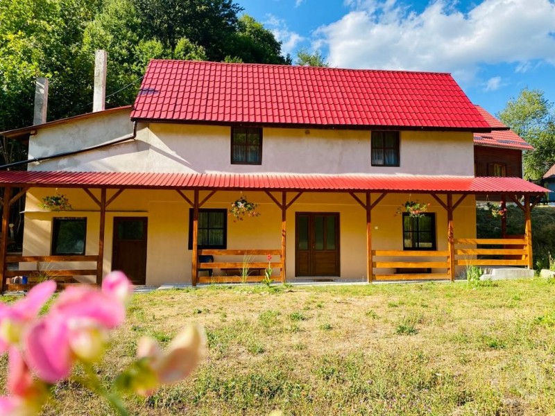 Cabana Mădălin Pietroasa 683863 thumb