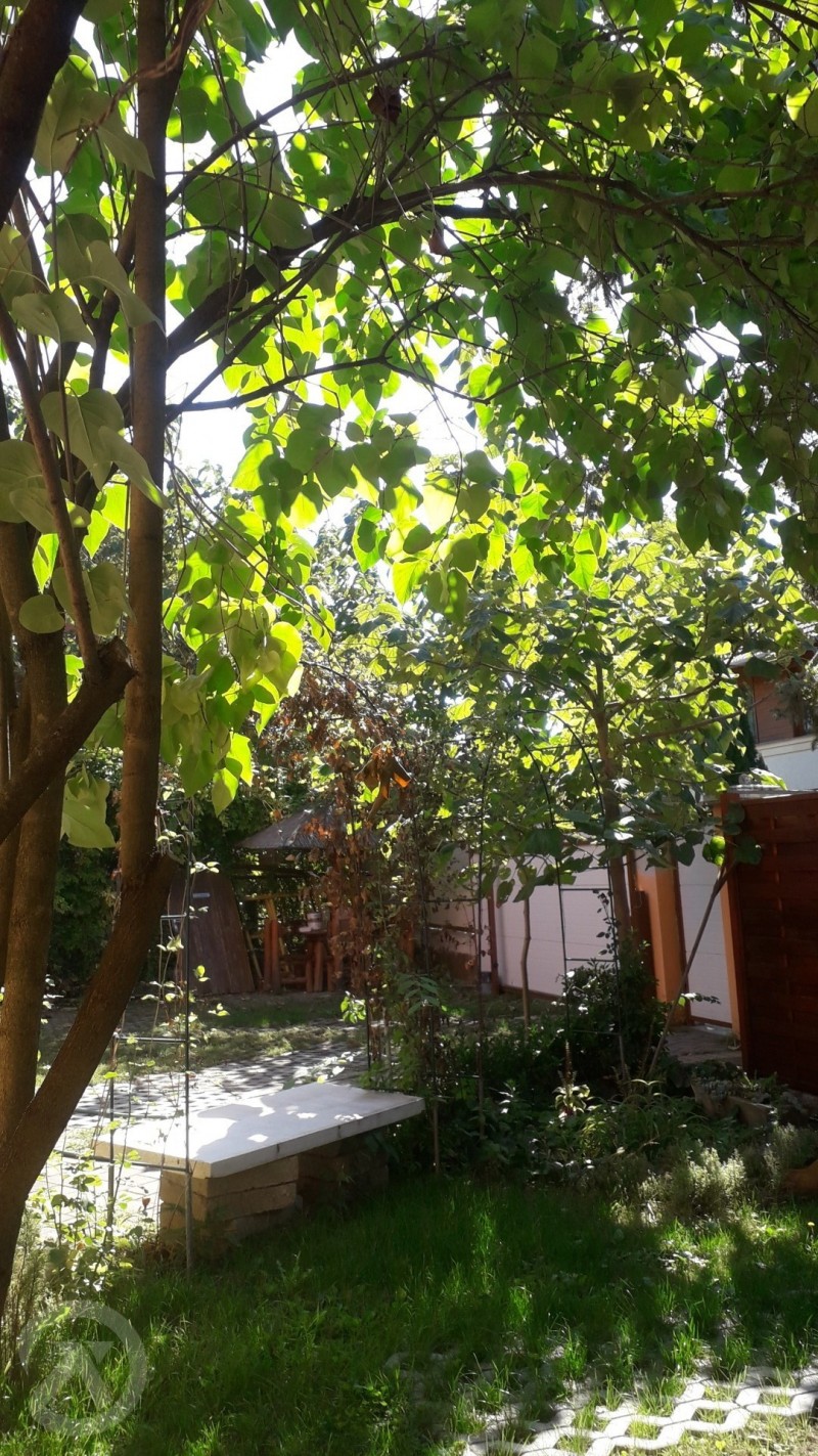 ABBA Gyula Apartman Jula 701404 thumb