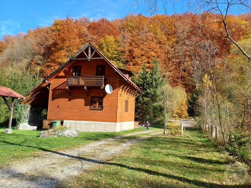 Rustic House 1 Pension Stâna de Vale 691694 thumb