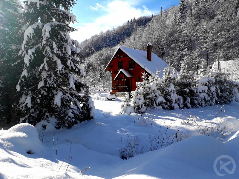 Rustic House 1 Pension Stâna de Vale 691695 thumb