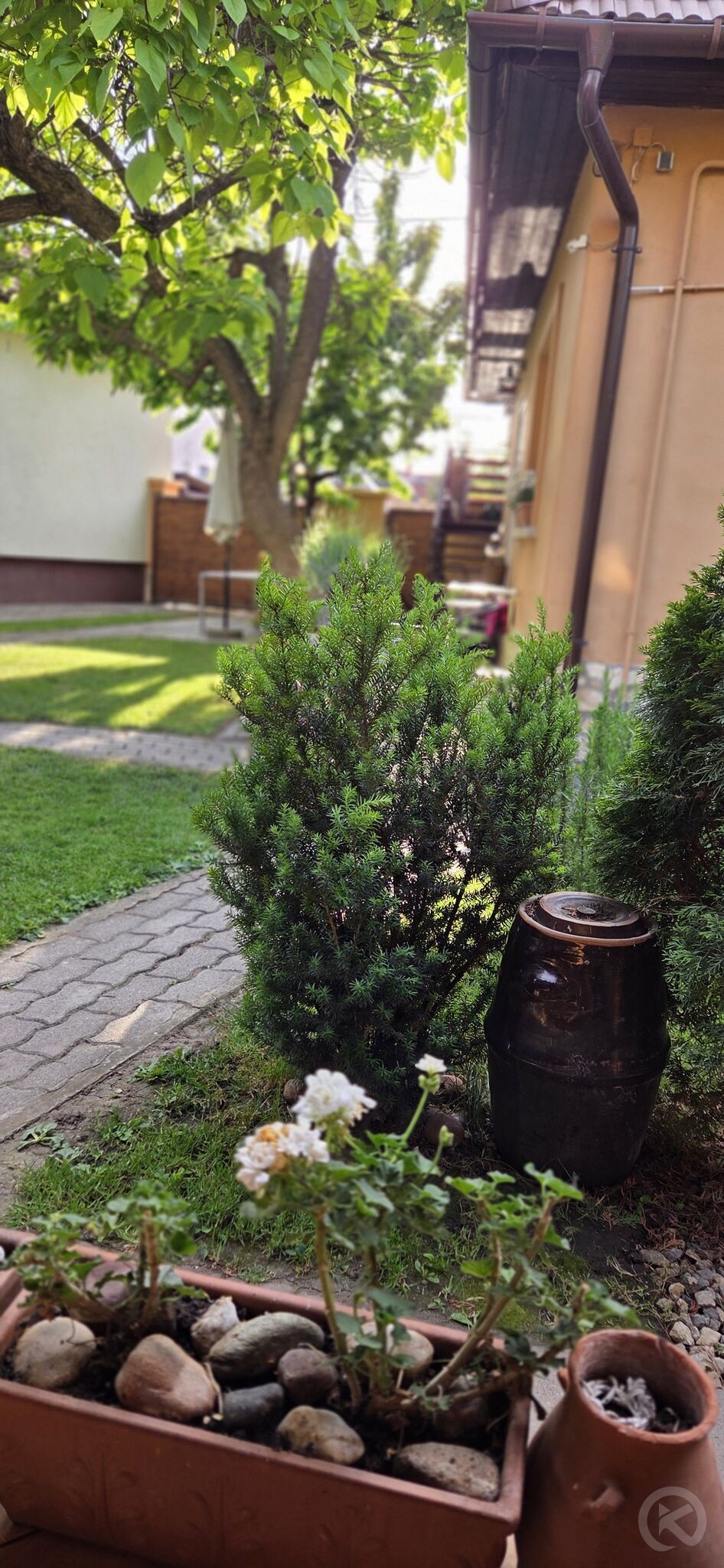 Apartament Leila Jula 703022 thumb