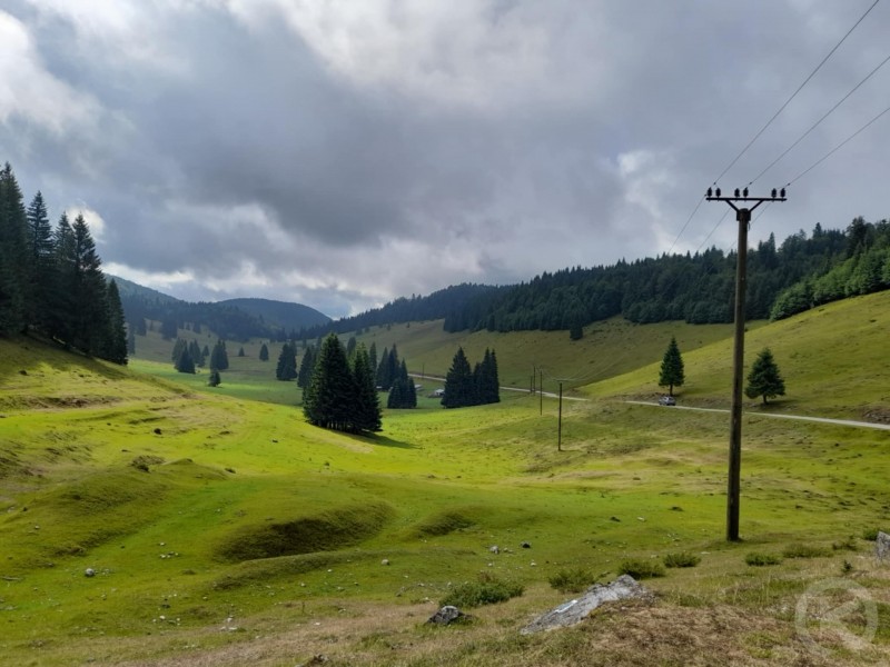 Zona turistică Padiș