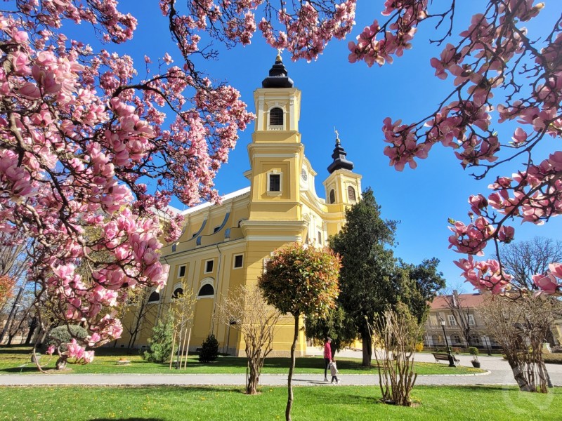 Oradea 400 thumb