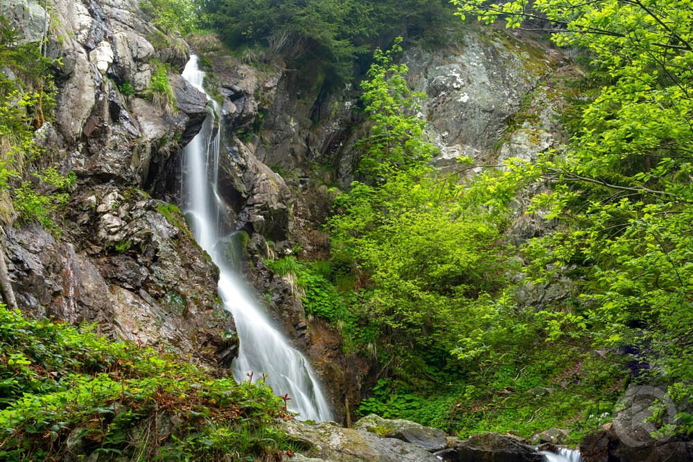 Chișcău 896 thumb