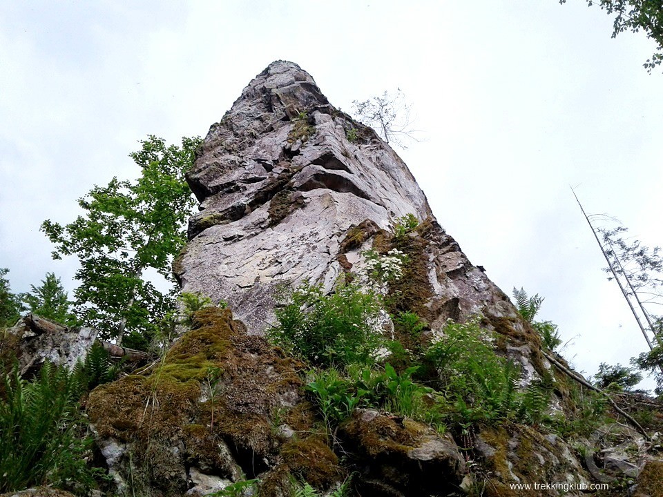 Izvoare &ndash; Natură și tradiție &icirc;n inima Harghitei