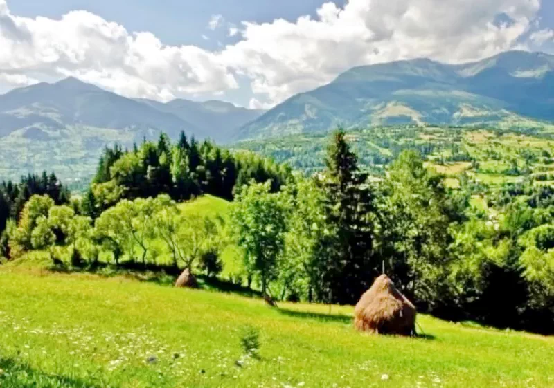 Chișcău 895 thumb