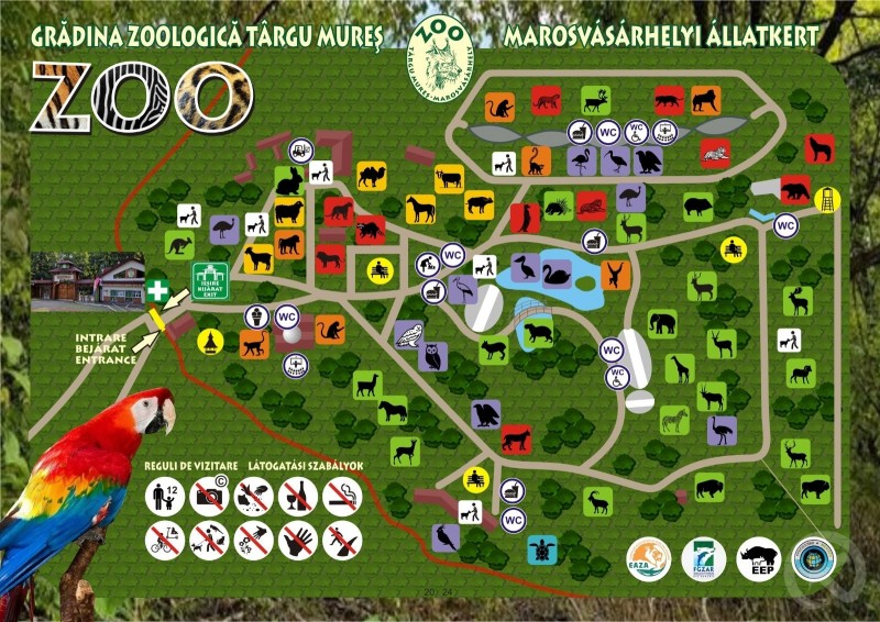Târgu Mureș 795 thumb