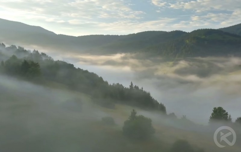 Liban 467 thumb
